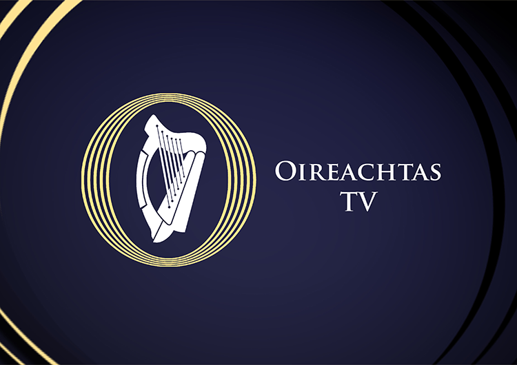 Oireachtas Essay Competition
