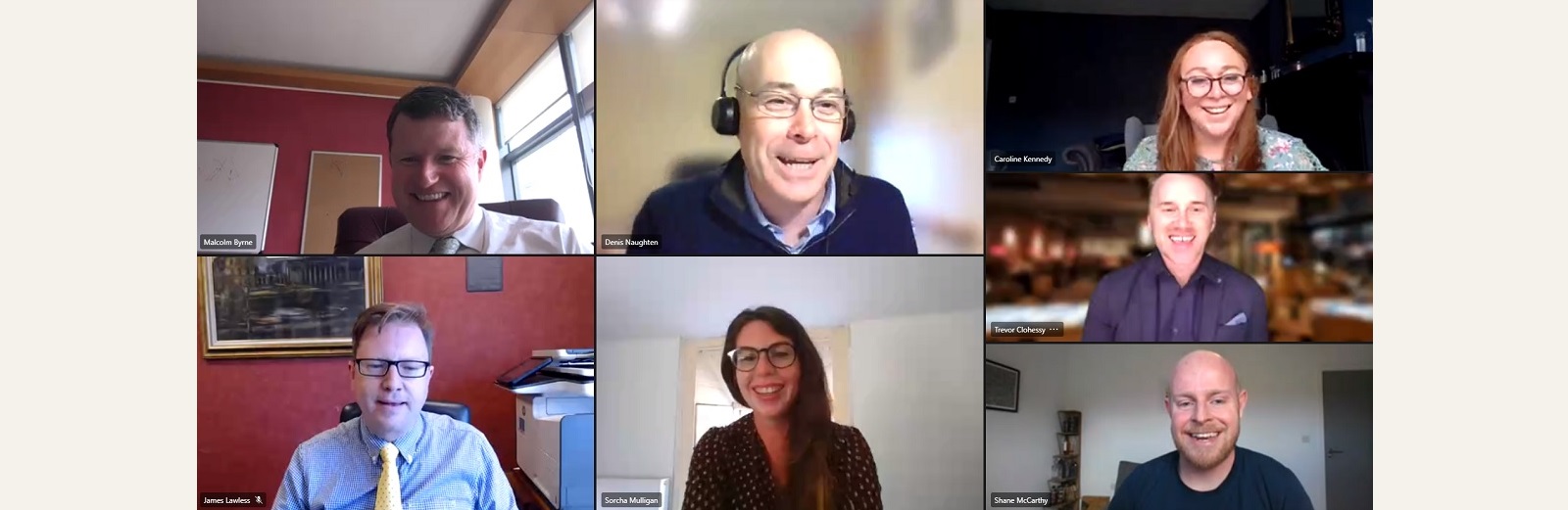 Participants in the virtual meeting of the Oireachtas Friends of Science and Technology