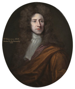 Portrait of William Molyneaux