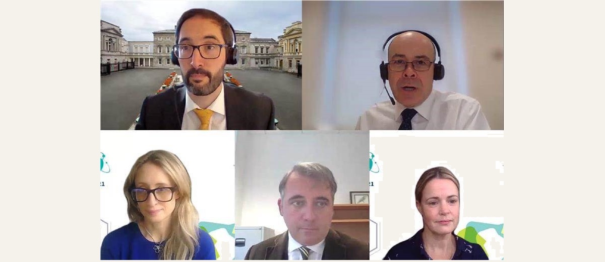 Still from a webinar hosted by the Oireachtas Library